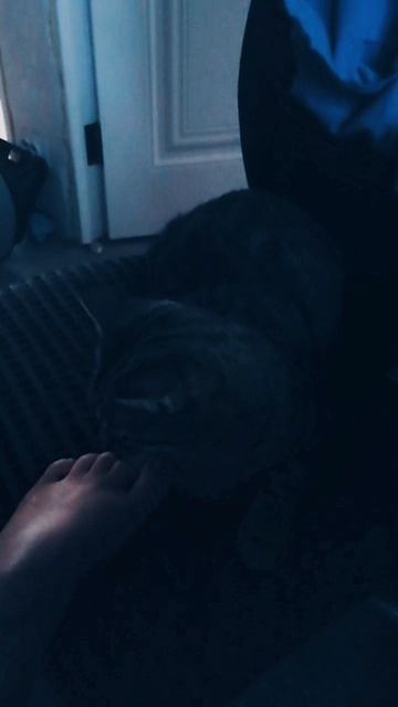 HwVideoEditor_2025_06_28_192351379.mp4