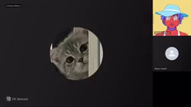 VID_20250628_101720_621.mp4