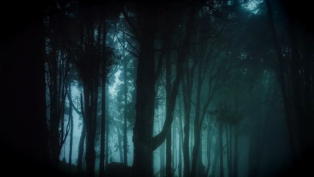 ПИЦЕРИЯ. ЧАСТЬ 2. ИСТОРИЯ НА НОЧЬ