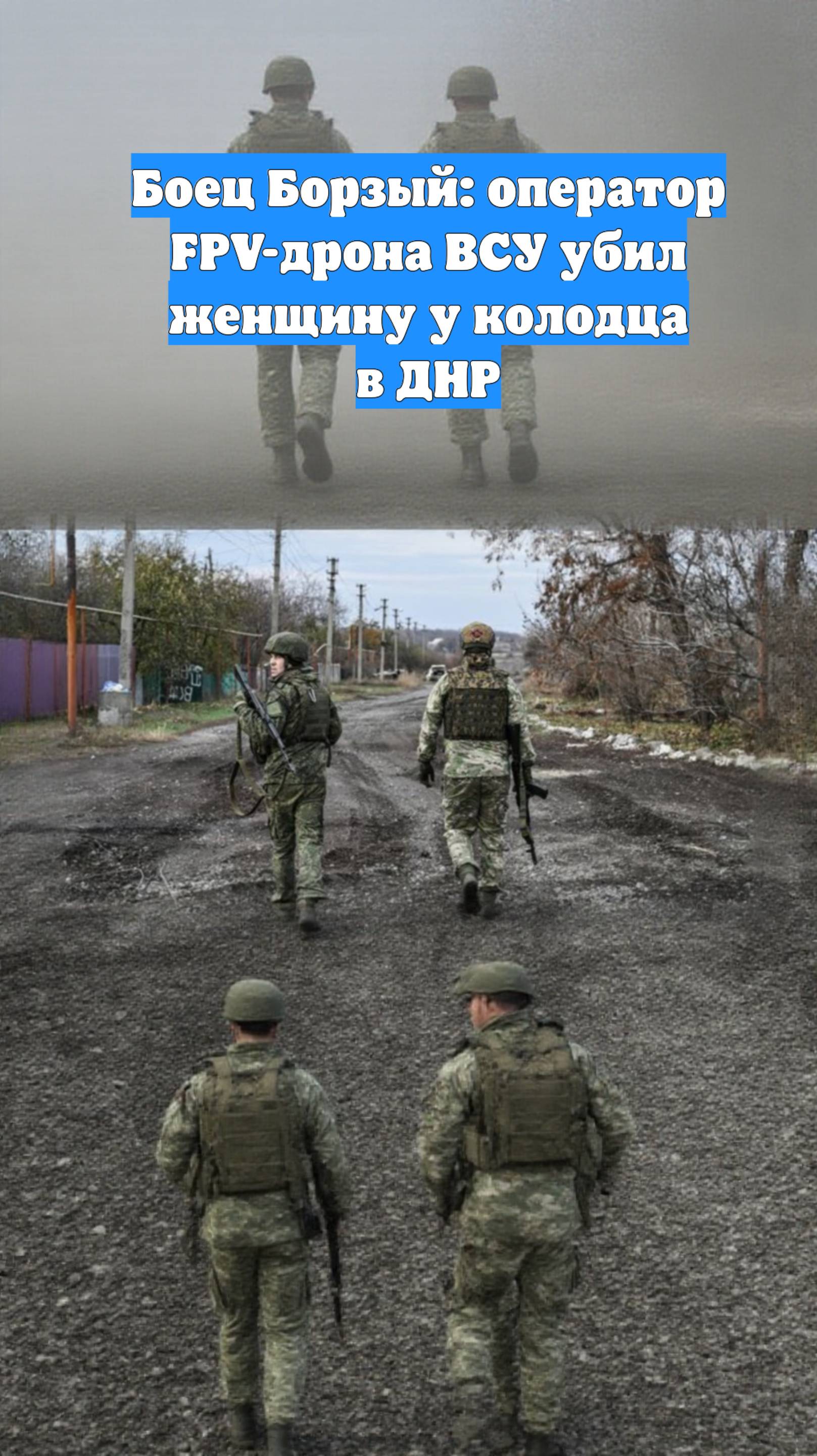 Боец Борзый: оператор FPV-дрона ВСУ убил женщину у колодца в ДНР