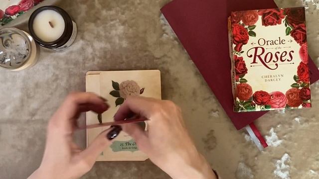 Обзор оракульной колоды от Cheralyn Darcey “Oracle of the Roses”