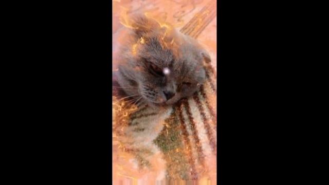 ❤️😊🔥⚡⭐