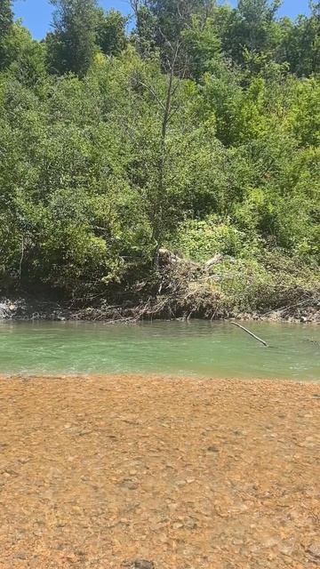 На реке Курджипс 28.06.25