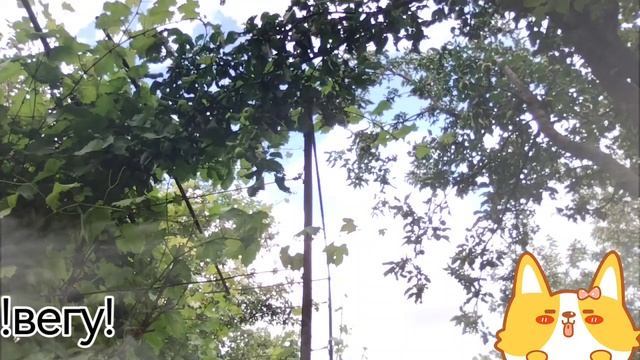 я вижу тебя насквозь вижу как ты смотришь меня