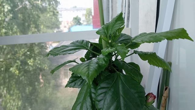 Погода не радует, но мы не унывает! 🤗