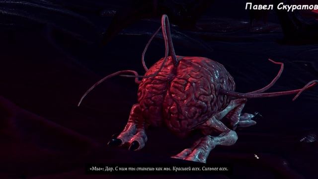 Baldur's Gate: Мы разговариваем