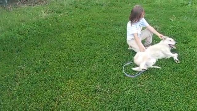 Онуфриево. Играет с собакой.