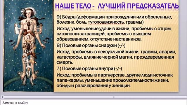 НАШЕ ТЕЛО - ЛУЧШИЙ ПРЕДСКАЗАТЕЛЬ! ЧАСТЬ 3- БЁДРА, ОРГАНЫ МАЛОГО ТАЗА! Kuliko