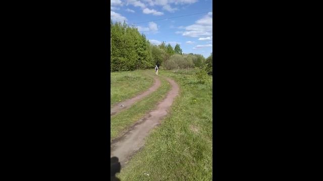 Весна в Подмосковье. Май 2024