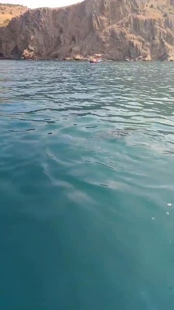 Балаклава. Дельфины-попрашайки. Крымское побережье.
#крым #crimea #ялта #севастополь #симферополь