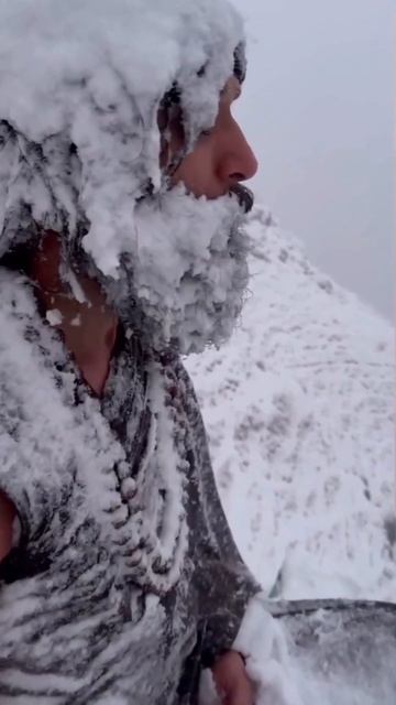 Программы туров здесь (https://t.me/Travel_Retreat_Bot?start=107734).