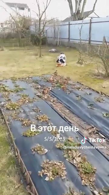 Ну и воришка!...)))