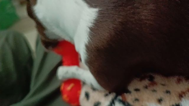 Почему я не могу оторваться от этой игрушки?
