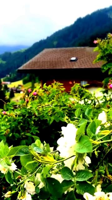 Что-то пошло не так…