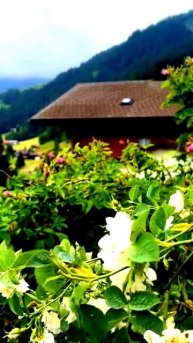 Что-то пошло не так…