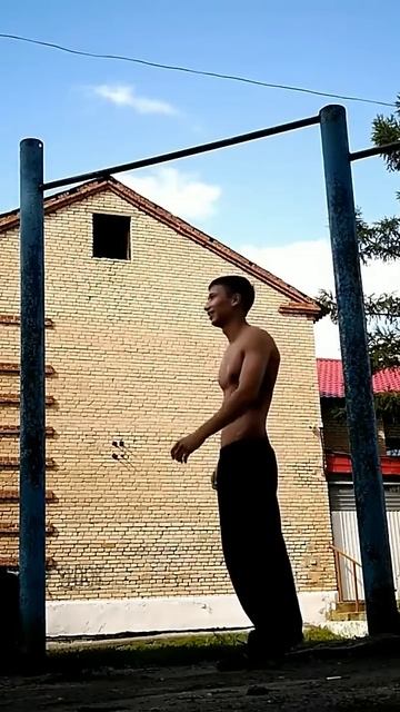 One arm L-sit muscle up