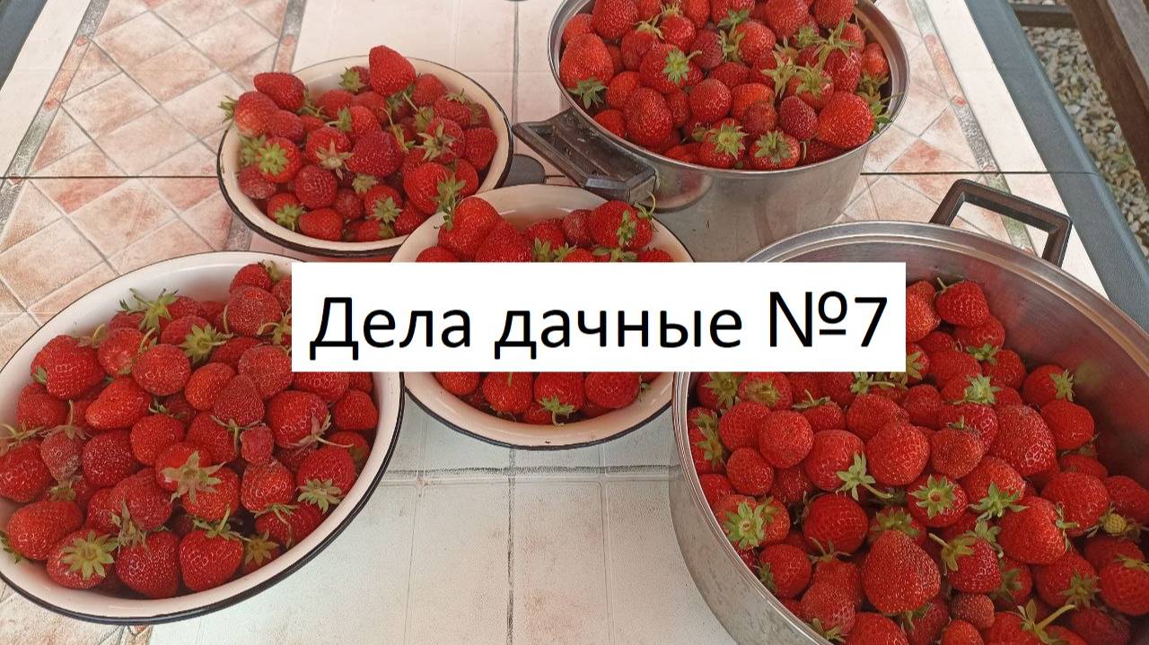Дела дачные №7