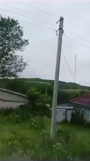 Истоки. Еду в деревню. Давно не были?