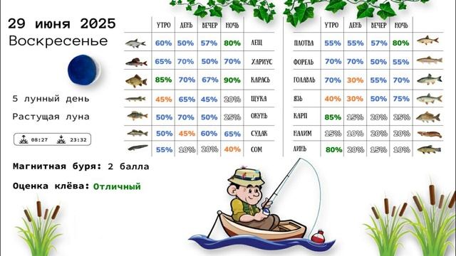Прогноз клёва рыбы на воскресенье, 29 июня 2025 года - Отличный клёв!