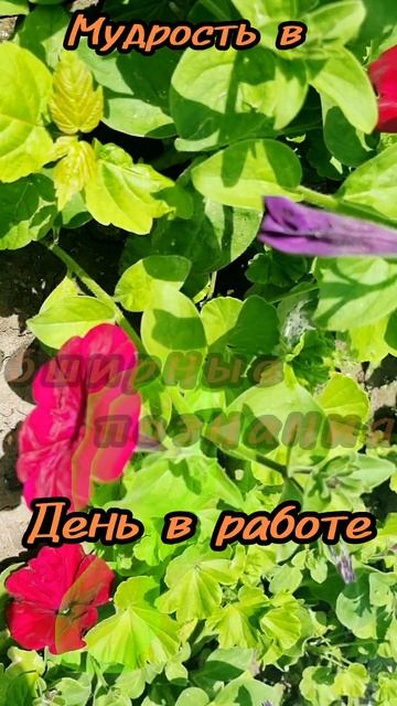 29 июня.
АСТРОЛОГИЯ ДНЯ. 

Серьезны, ответственны.
Обширные познания в самых разных областях. 
Избав