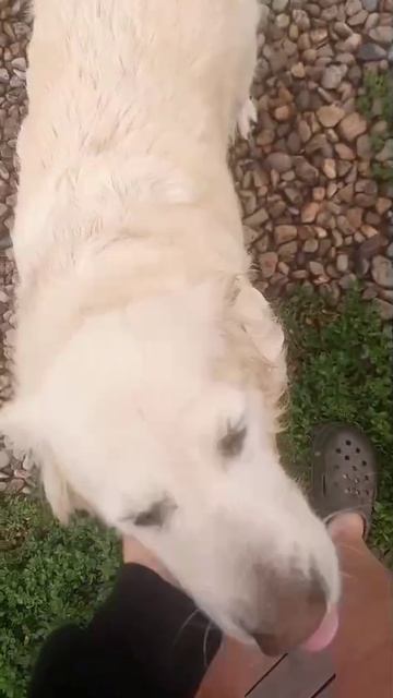 1000498752.mp4