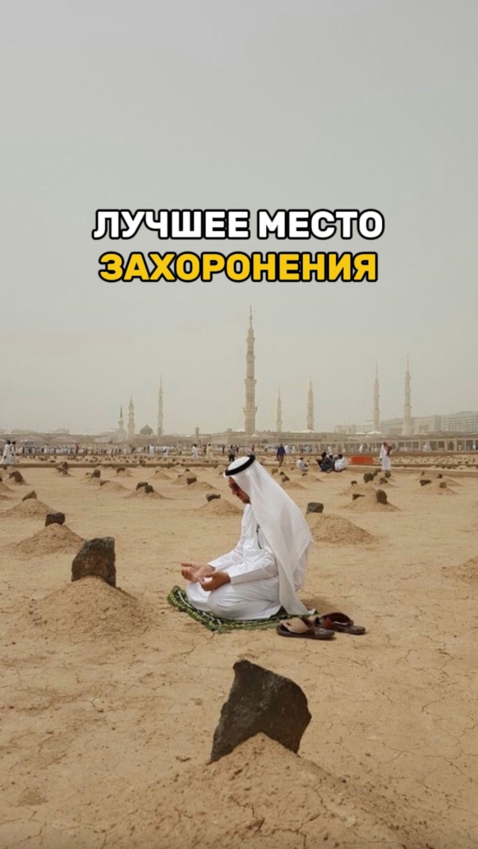 ЛУЧШЕЕ МЕСТО ЗАХОРОНЕНИЯ