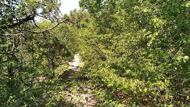 В 37°С жару на Чёрном море вышли погулять в горах в Большом Утрише