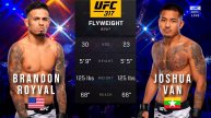 БРЭНДОН РОЙВЭЛ ПРОТИВ ДЖОШУА ВАНА ПОЛНЫЙ БОЙ UFC 317