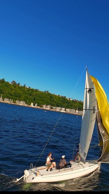 ⛵ Насладитесь захватывающим видом с воздуха на парусную регату!