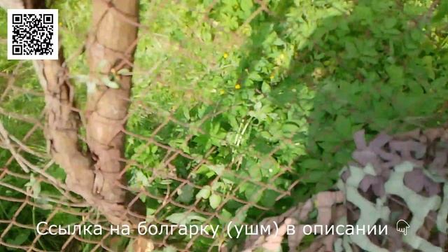 Вырезаем дерево из сетки рабицы, для установки нового забора