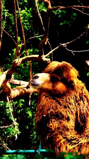 Эти кадры вас шокируют