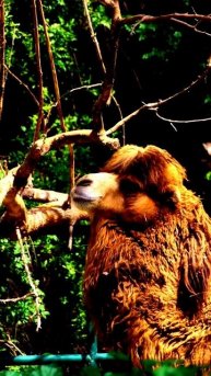 Эти кадры вас шокируют