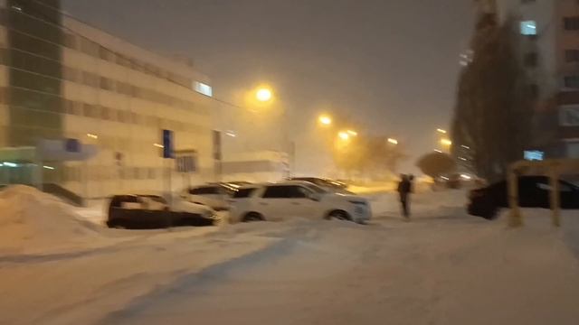 Была метель., а меня тянет на прогулку.. Но зато прекрасно получилось.. Зима.