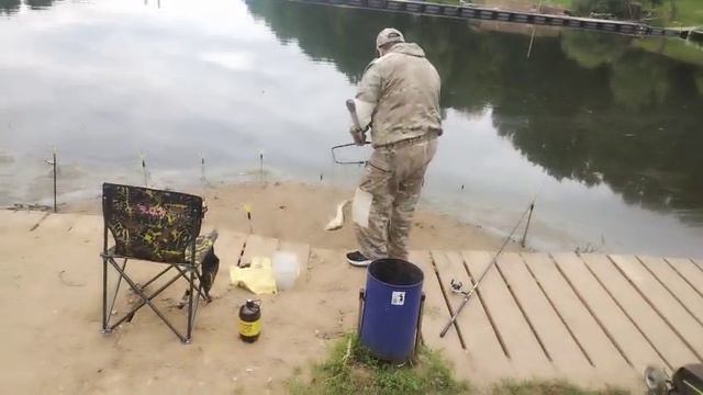 Осётрик