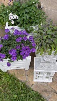 Озеленение веранды, террасы, входной группы