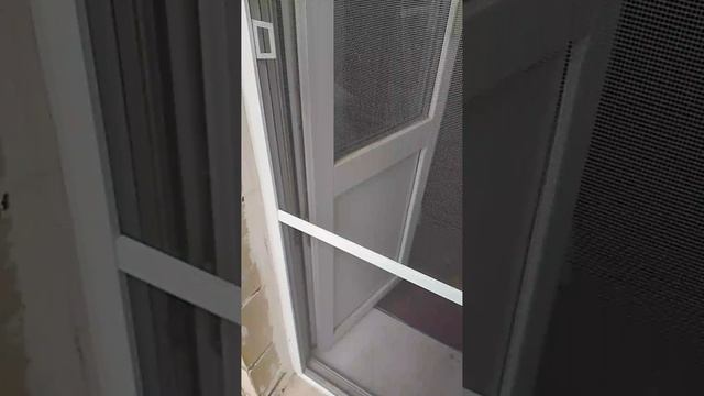 1000006804.mp4
