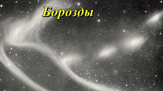 Борозды