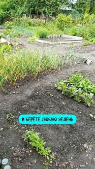 От души отрываю!