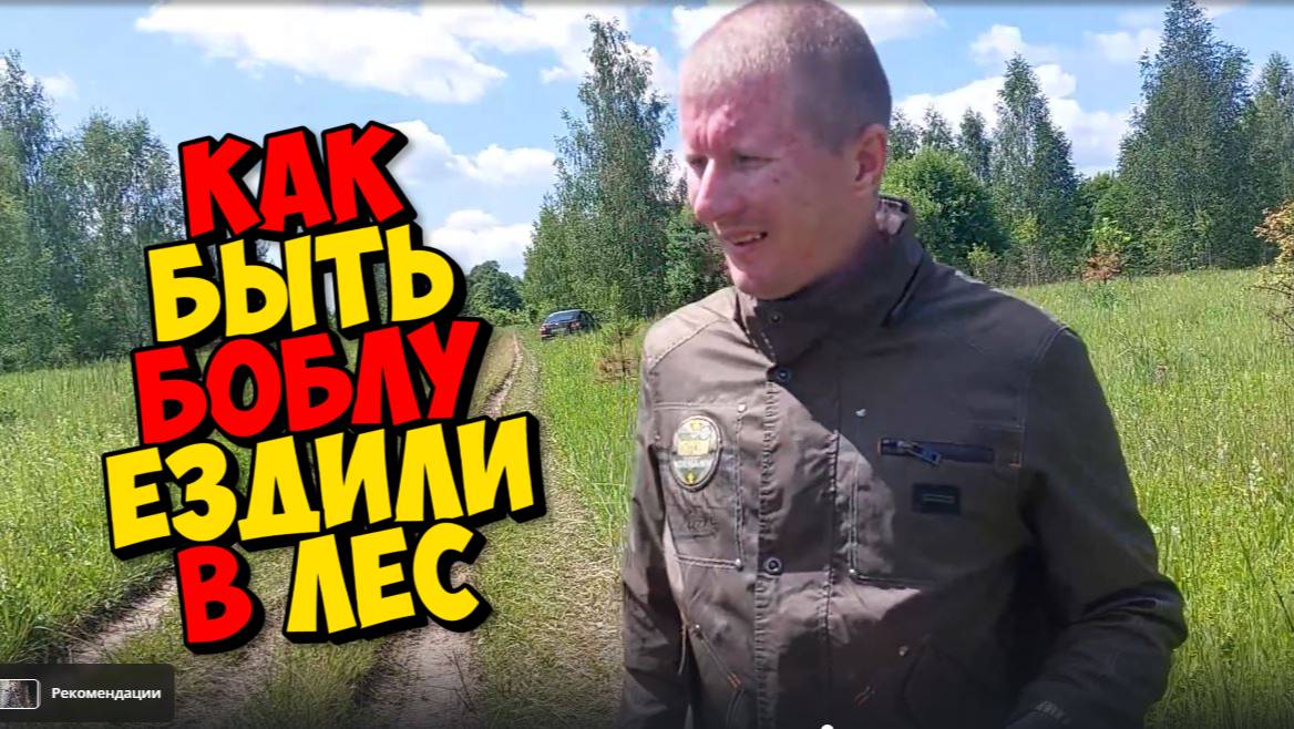 БОЛЬШЕ В ЭТОМ ЛЕСУ НЕ ВИДЕЛИ НИ БЕЛОК И ДЯТЛОВ