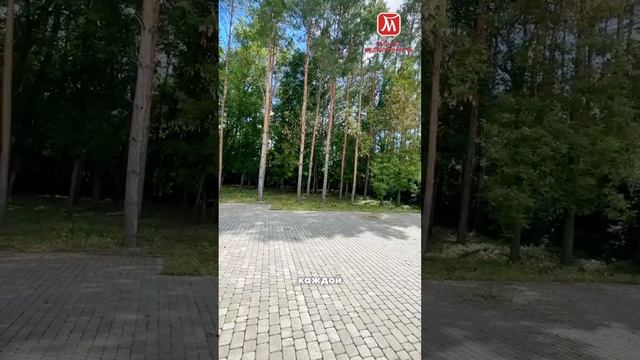 Нежинка, Теннистая д 11