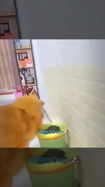 Всё лишнее в мусорку😂