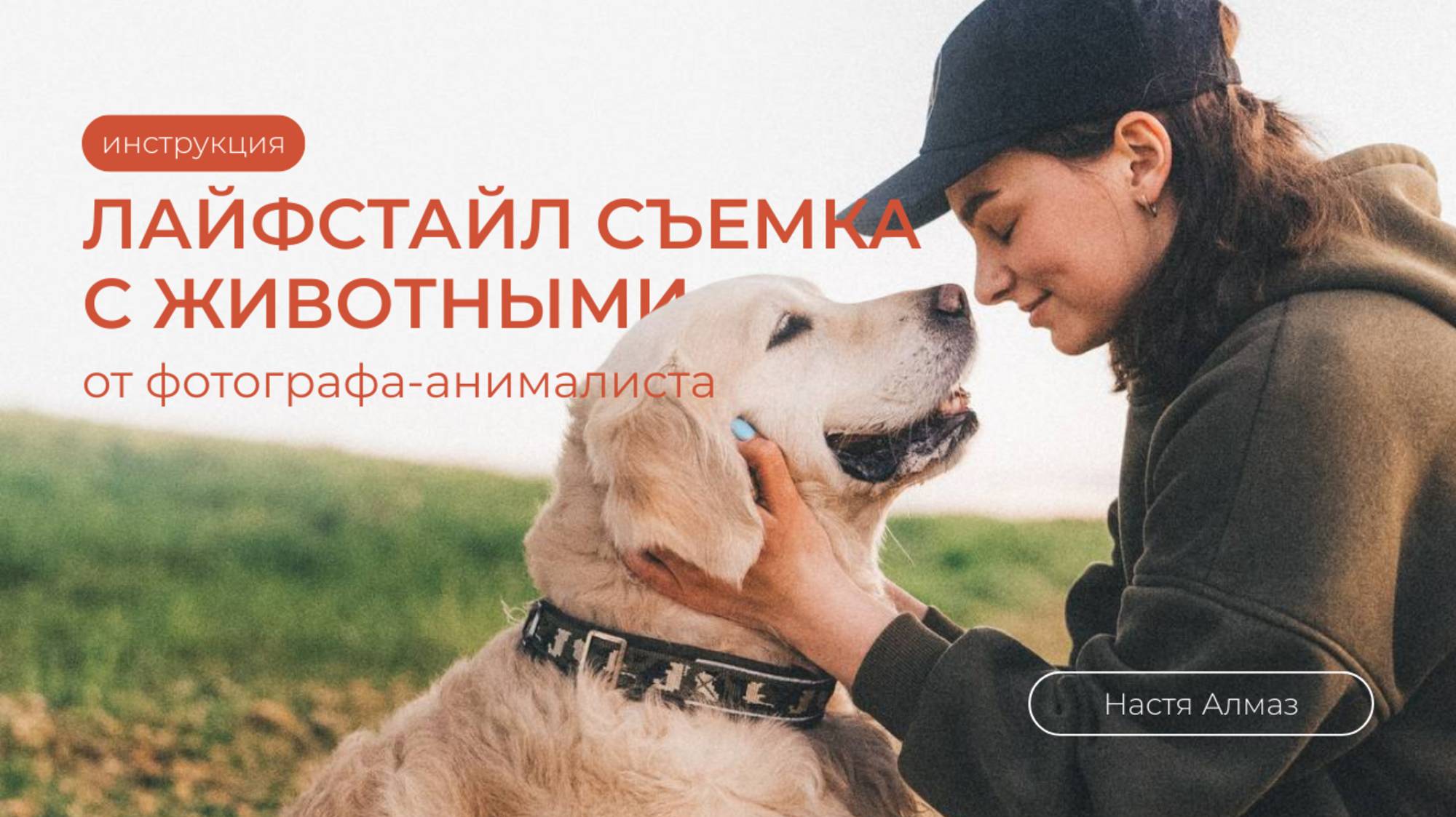 Инструкция по лайфстайл съемке с животными от фотографа-анималиста