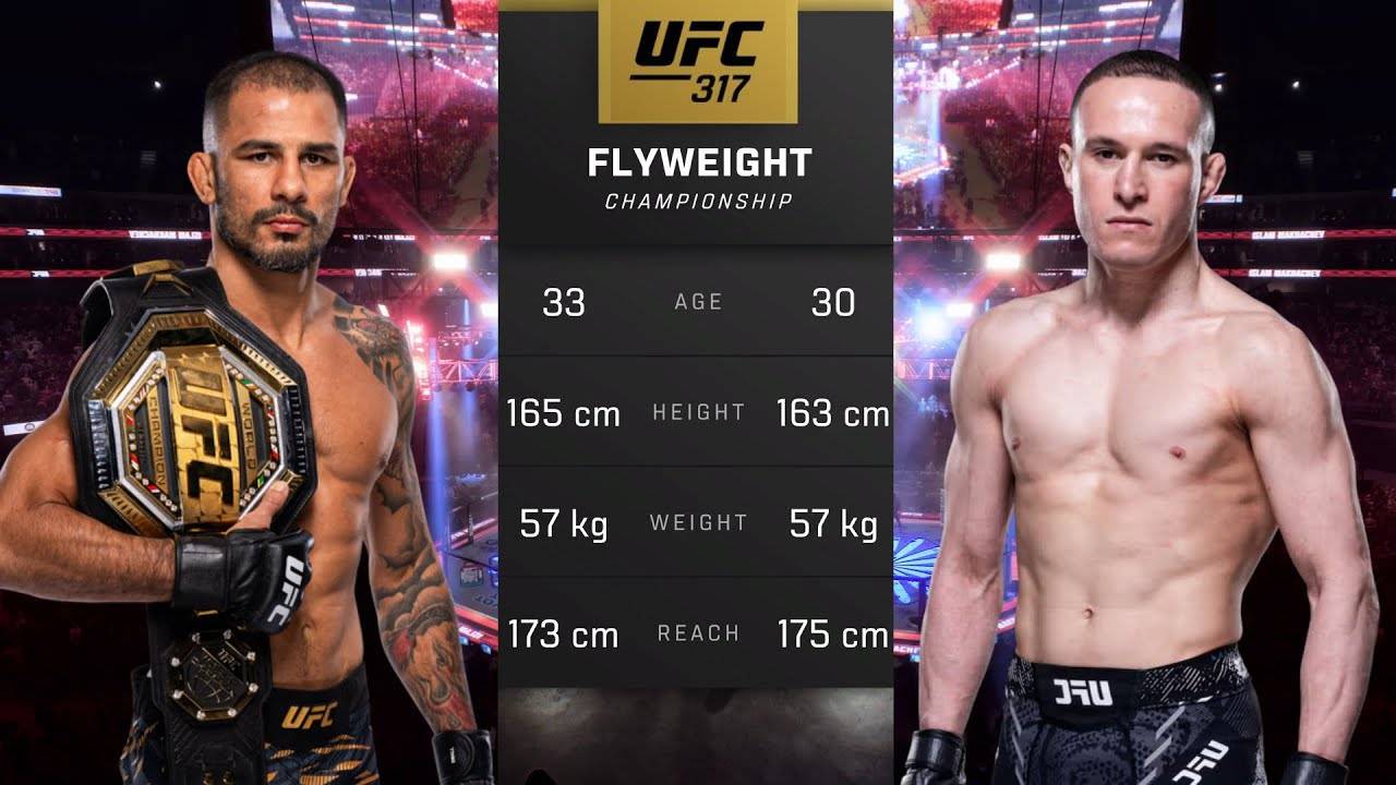 Александр Пантоха против КайКара-Франс - UFC 317