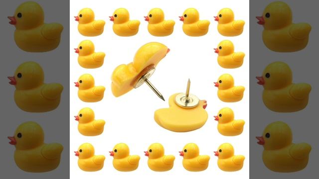 ducks8.mp4