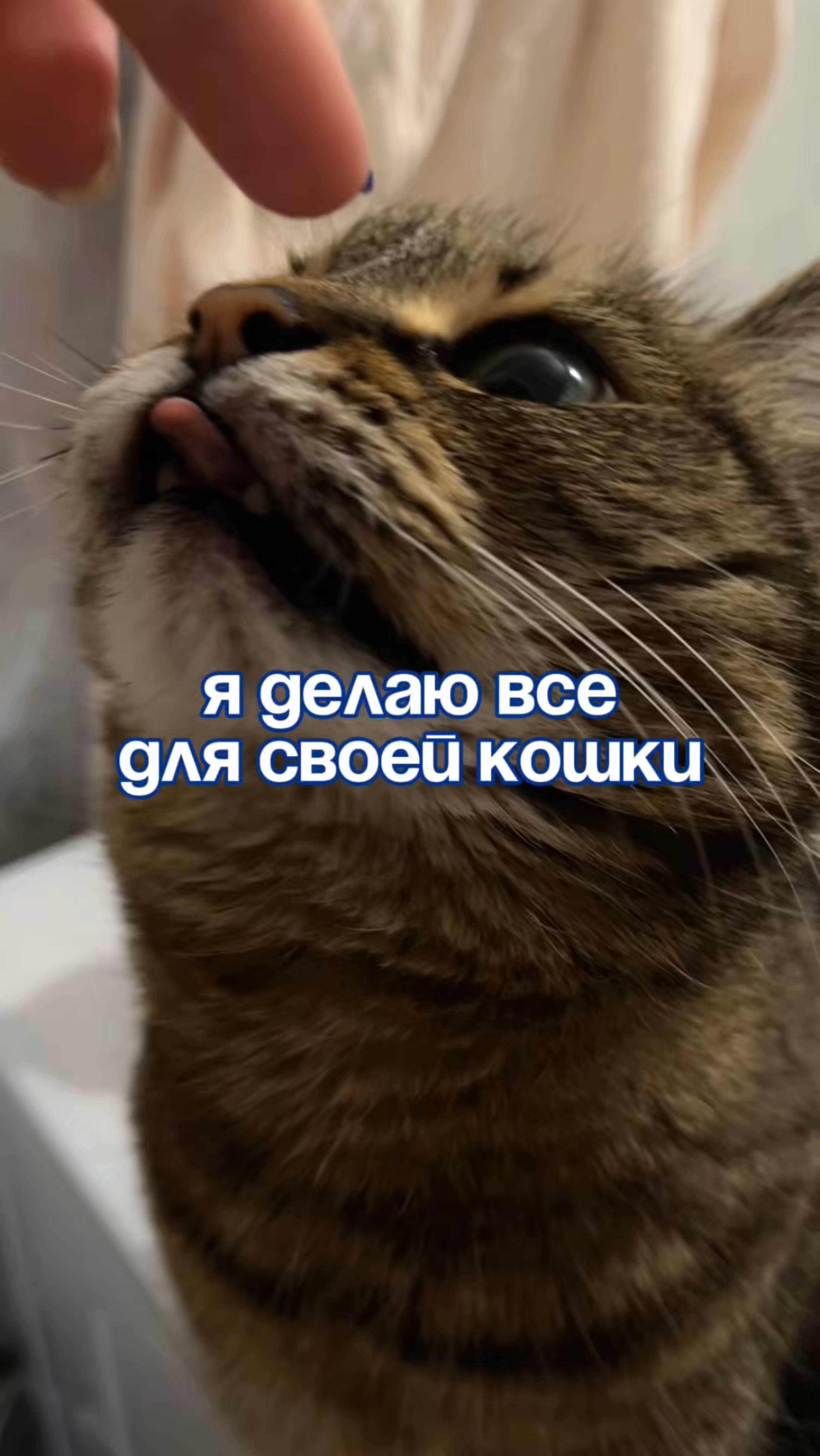 Артикул на пасту
WB: #234577895
Ozon: #1664064287
Паста BRANDFREE – твой лучший помощник в уборке
