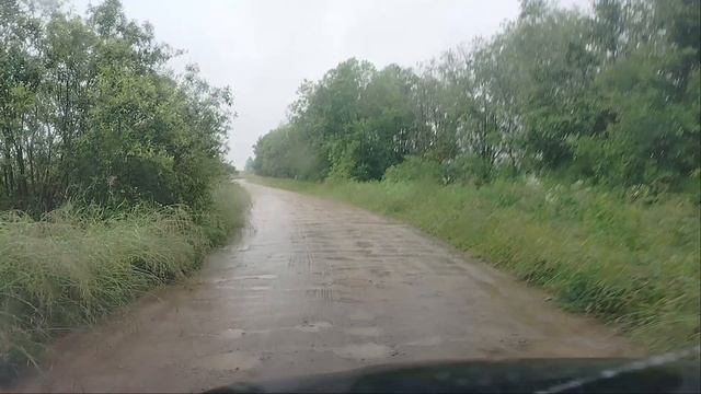 Металлокоп . Нашли чуть - чуть в копилочку . Три дня шёл Дождь , всё обломал (((