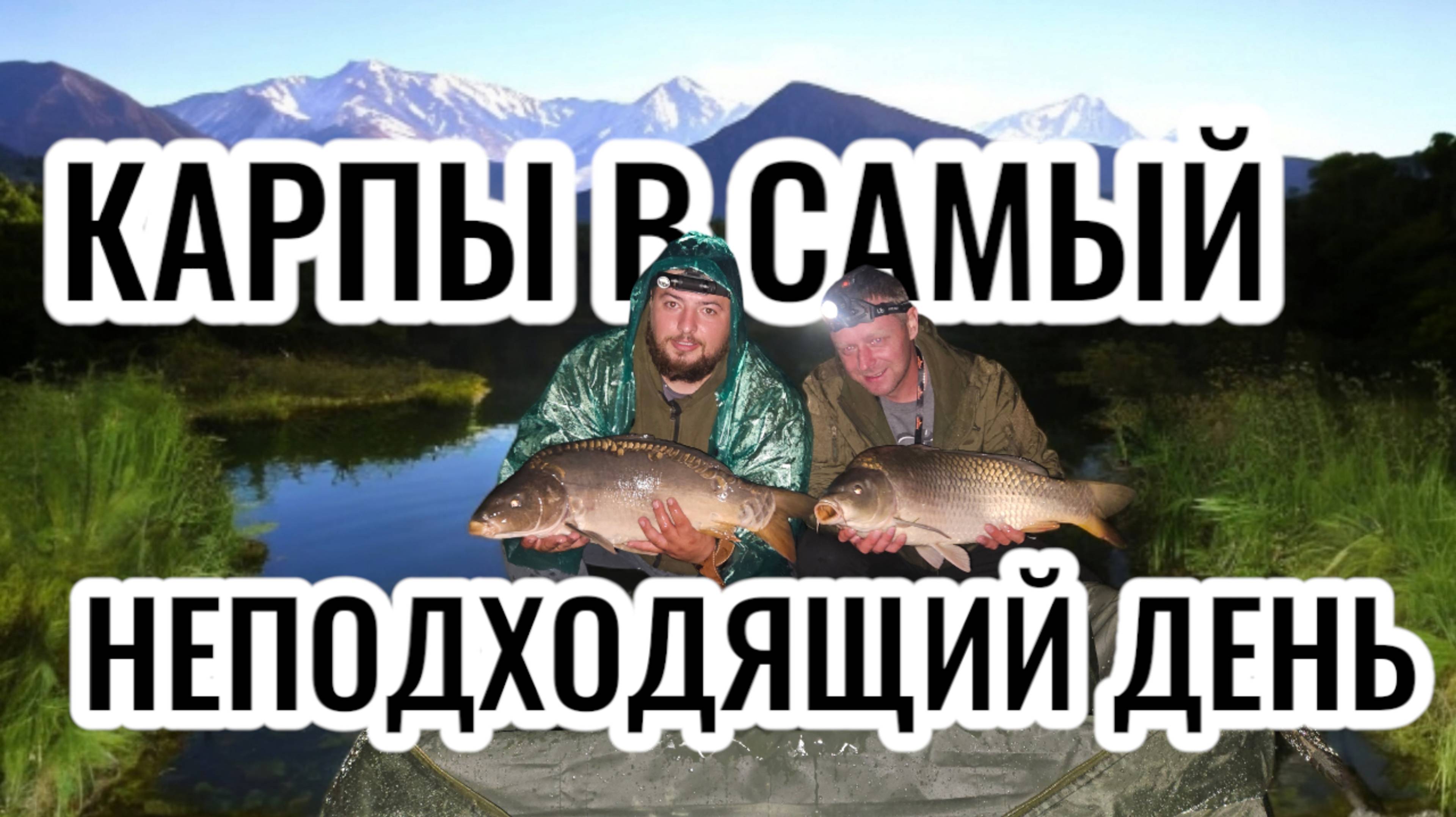 КАРПЫ В САМЫЙ НЕПОДХОДЯЩИЙ ДЕНЬ