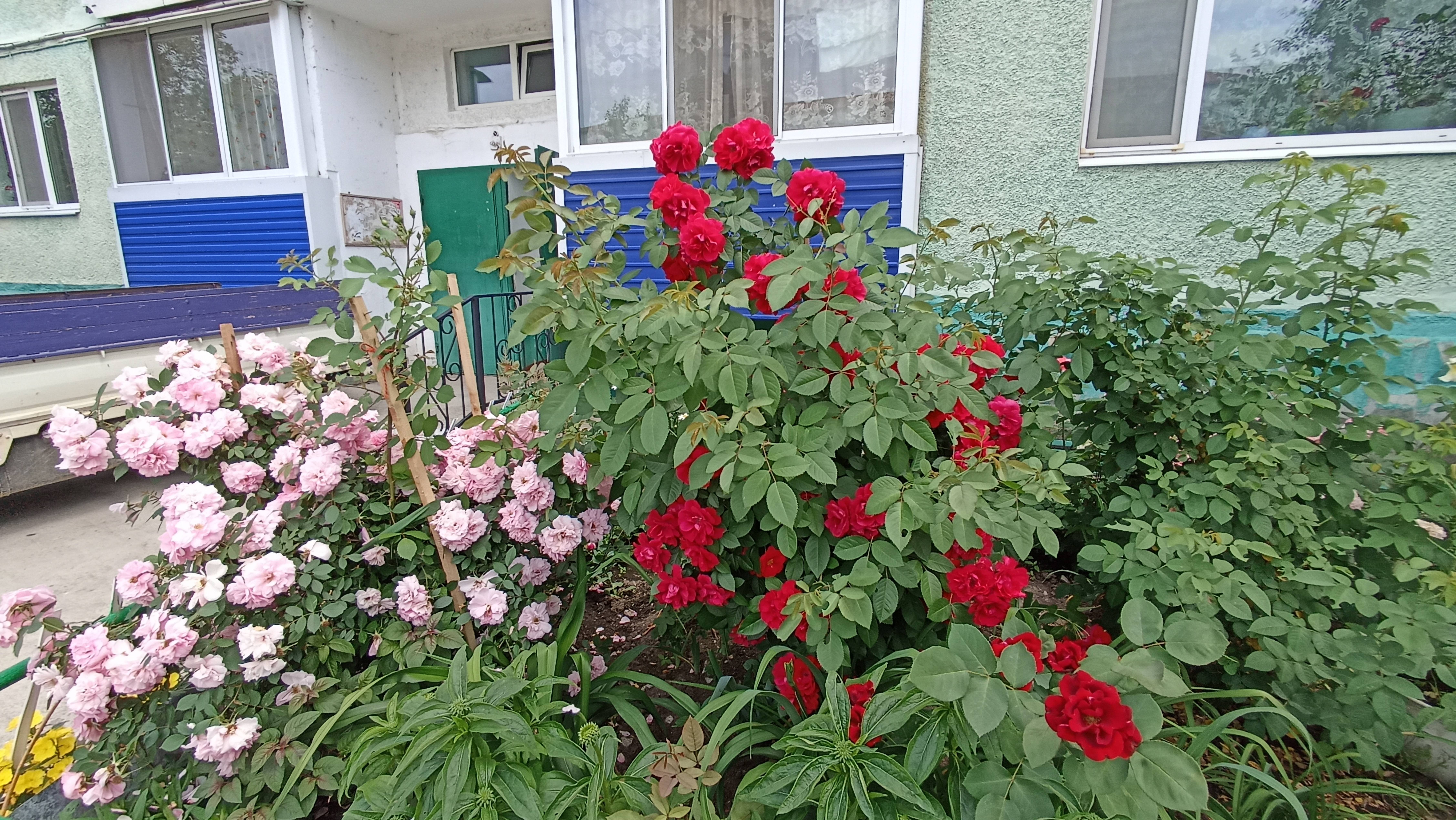 Цветущий Лучегорск!)