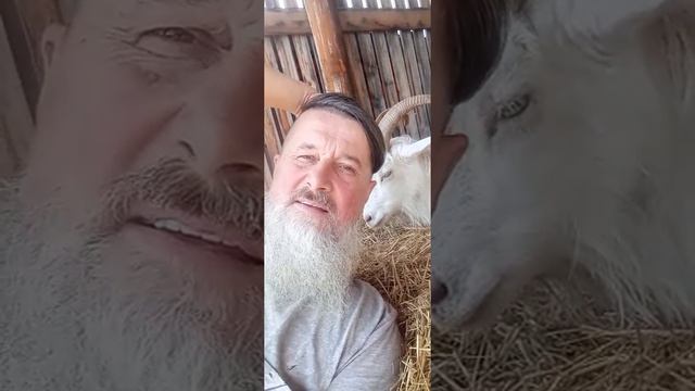 1000196990.mp4 #проЛюбовь