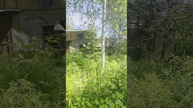1000145690.mp4